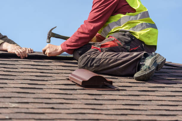 Best Roof Maintenance Services  in Punaluu, HI