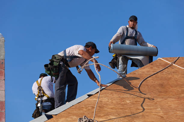 Best Emergency Roof Repair  in Punaluu, HI